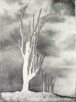 Fortunata Obrąpalska, The Tree, 1949