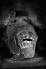 Magda Hueckel, Sacrum II, z cyklu Anima, Benin, Cotonou, Targ fetyszy, 2013