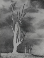 F.Obrąpalska, Drzewo, 1949