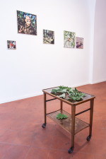 Photo by Urszula Kluz-Knopek