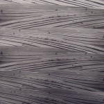 Paweł Pierściński, Stretches of Fields, from the Multiplications series,1984