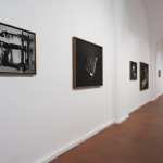 fot. Tobiasz Jankowiak