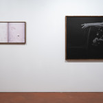 fot. Tobiasz Jankowiak