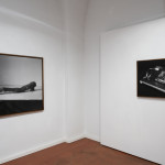 fot. Tobiasz Jankowiak